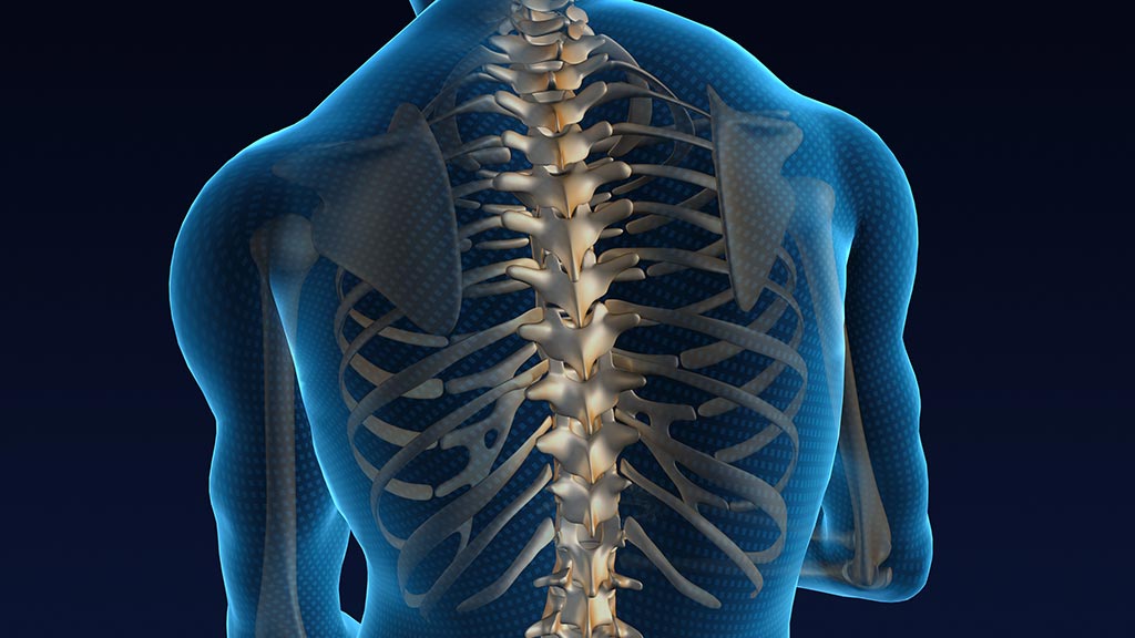 The Great Spine Pivot