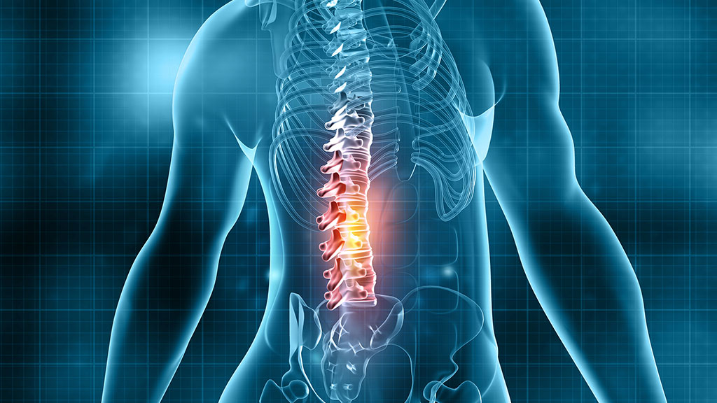 Spine Robotics